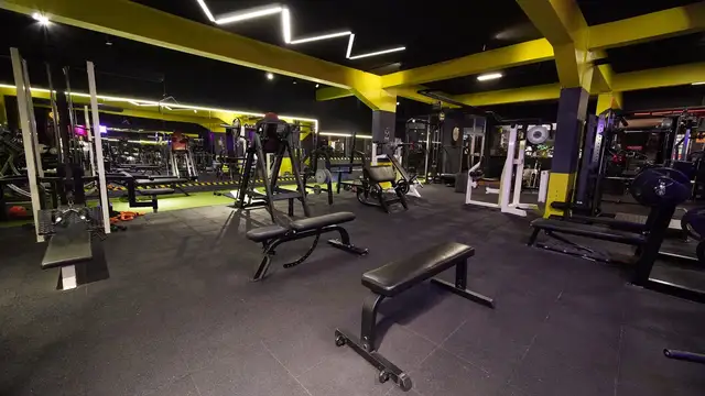 Serbest ağırlık bölgesi ve bench sehpaları